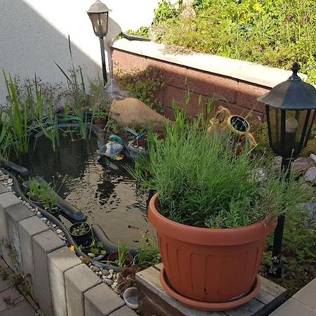 Apartment Gartenblick Neunkirchen  Luaran gambar